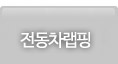 전동차랩핑
